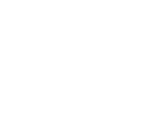 The Data Forest